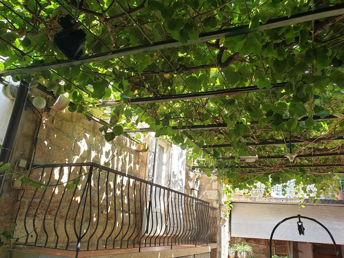 Apartment Old Town Garden *